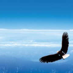 青島3D打印手板,青島3D打印服務