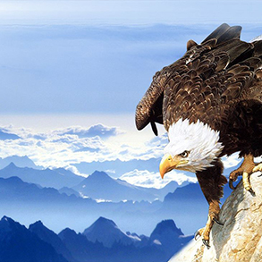 青島3D打印模型