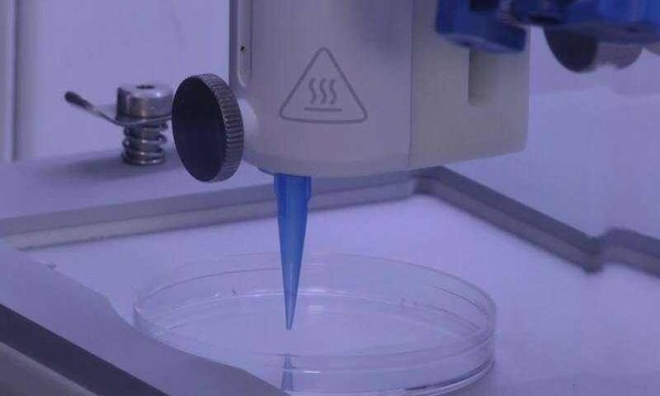 青島3D打印服務,青島3D打印模型,青島3D打印手板