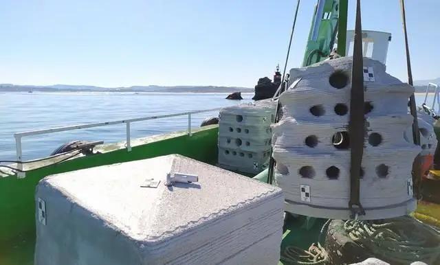 3D打印礁石 幫助恢復近海海底生態