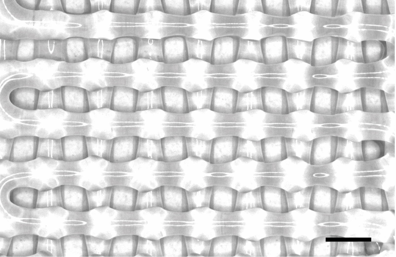 使用人工智能加快生物3D打印支架的開發，以幫助傷口愈合