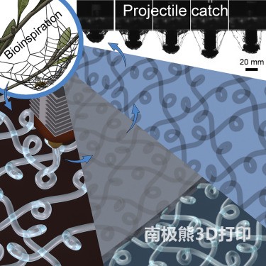 受蜘蛛網啟發，研究人員開發出3D打印的防震材料