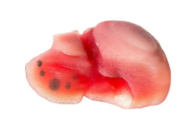 瓦克ACEO助力ANAMOS獲得Purmundus挑戰賽創新獎