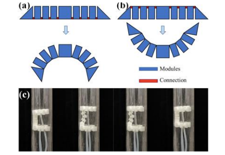 天津研究人員開發出全3D打印模塊化管道維護軟機器人