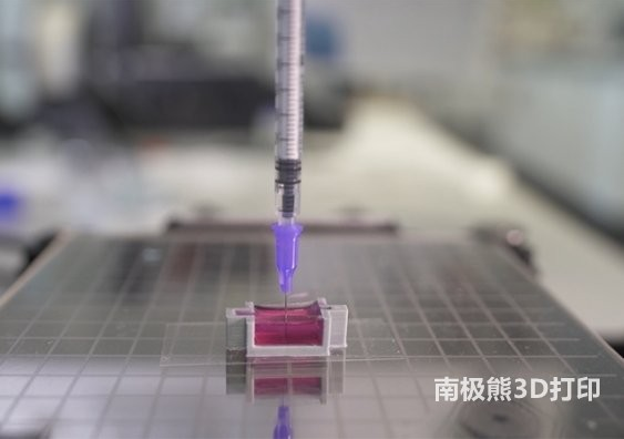新南威爾士大學(xué)：使用新型陶瓷墨水3D打印帶有活細(xì)胞的骨骼