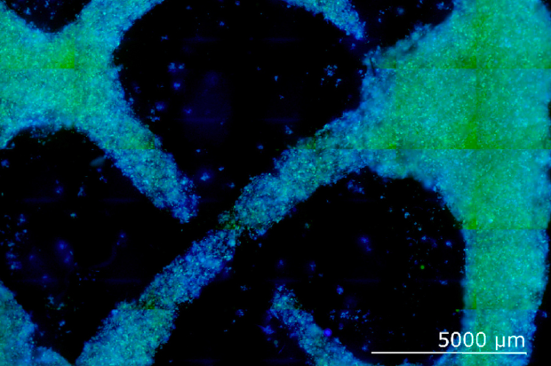 科學家們的新型3D打印雙色木材可以生產未來派的生態友好型家具