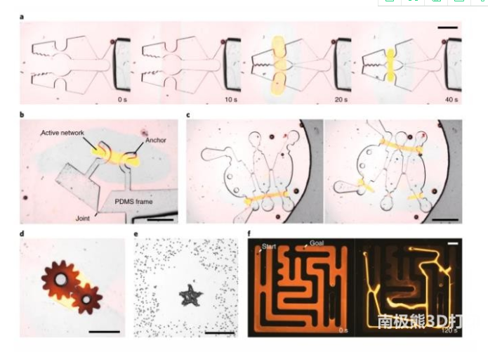 Nature Materials | 可打印人工肌肉實現宏觀運動