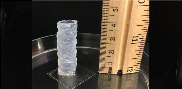 研究人員開發同時進行皮膚和骨骼修復的生物3D打印技術