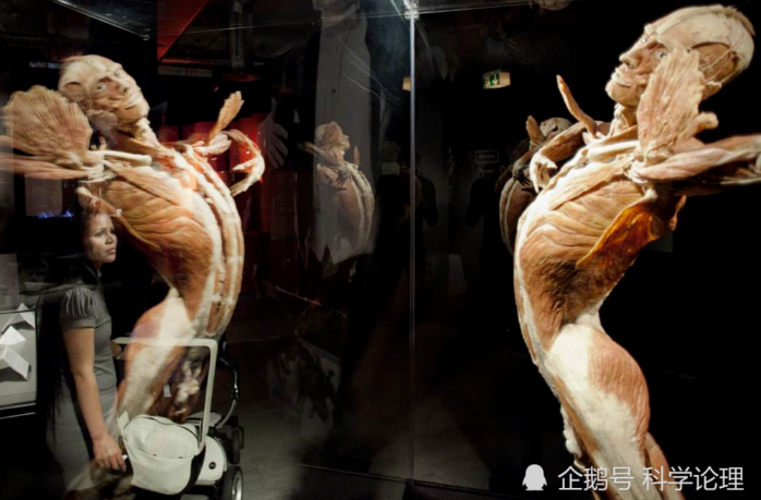 把3D打印機送上天，在太空打印人體器官，科學家這么折騰為了什么