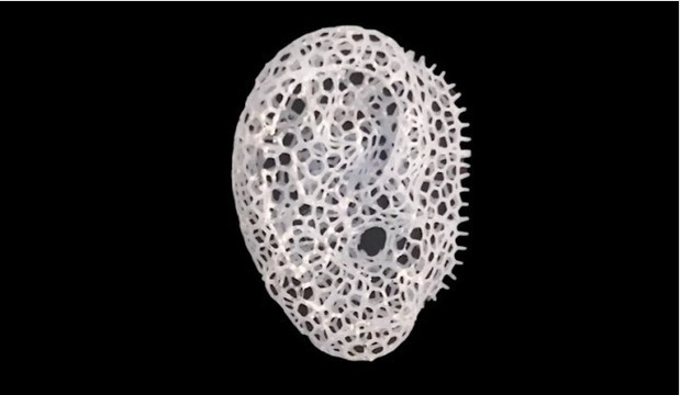 “反向”3D打印法以更快制造骨修復支架植入物