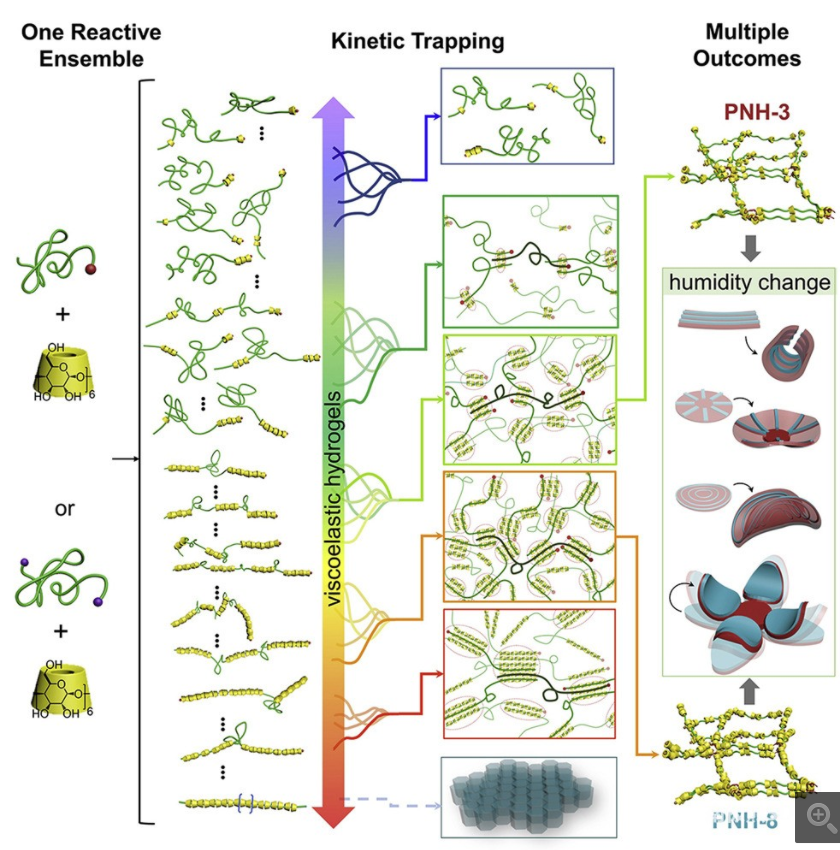 4D打印新模式？熱能誘導(dǎo)工藝將為3D打印提供“百變油墨”