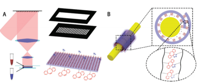 四川大學華西醫院：可用于外周神經修復藥物釋放的DLP打印自粘合繃帶