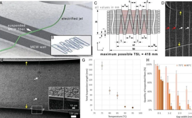 用于細胞遷移和生長的懸掛熔融近場直寫纖維陣列