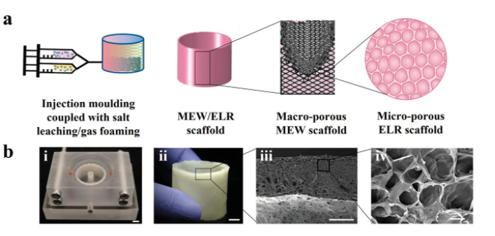 3D打印生長型心臟瓣膜，有望實現(xiàn)“一次植入、終身不換”