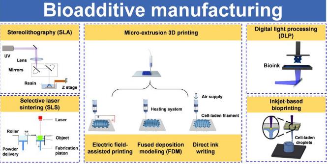青島3D打印， 山東3D打印，北方3D打印，光固化，樹脂，3D打印
