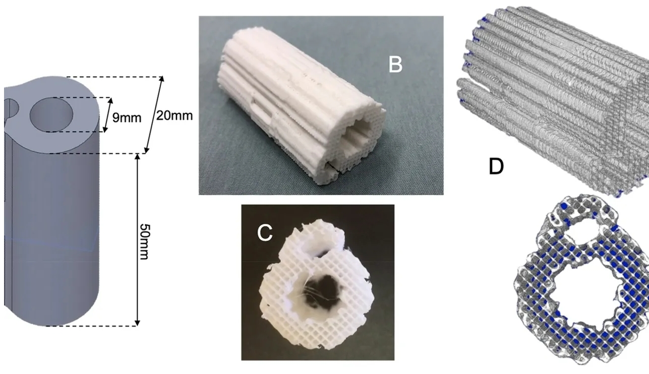 3D打印,山東3D打印,北方3D打印,青島3D打印,光固化,光敏樹脂